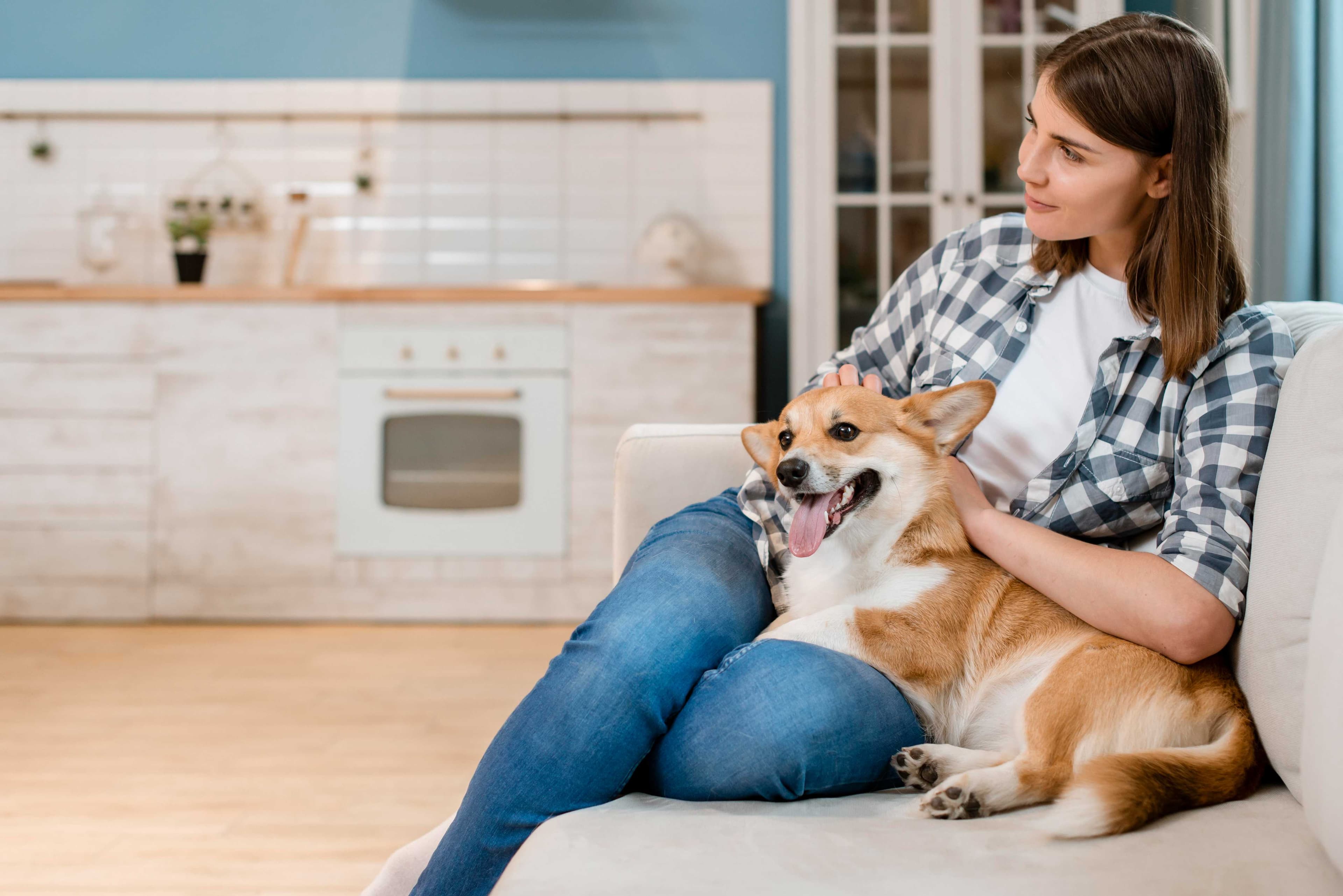 Pet Sitting ($65 per day or night)